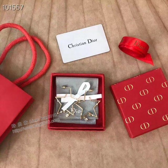Dior飾品 迪奧2021熱銷款五角星耳釘 時尚經典款耳環  zgd1194